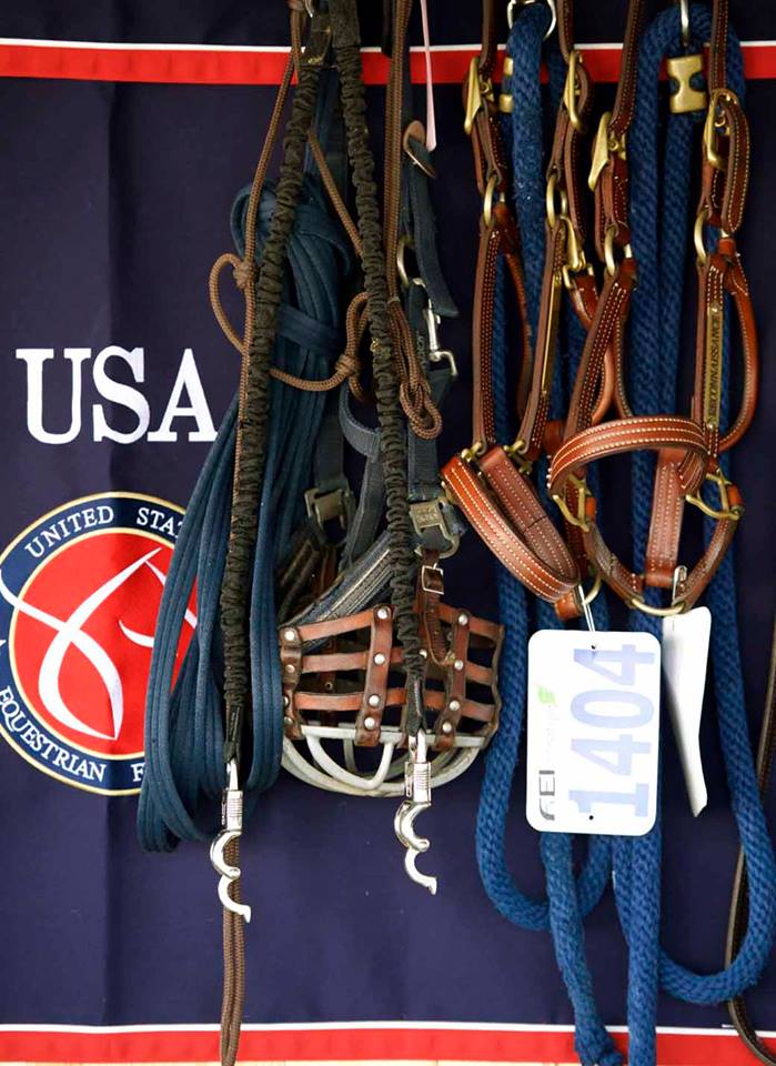 2015 Furusiyya FEI 1