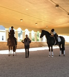 Catherine Haddad Teaches