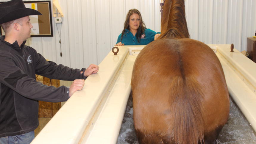 horse-hot-tubs