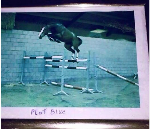 marcus-ehning-plotblue