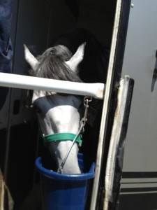 rumbero transport