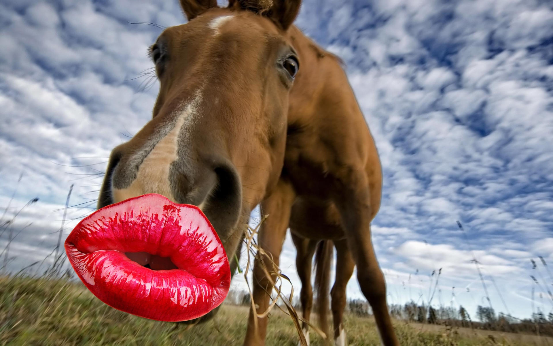 The Kylie Jenner Lip Challenge Results