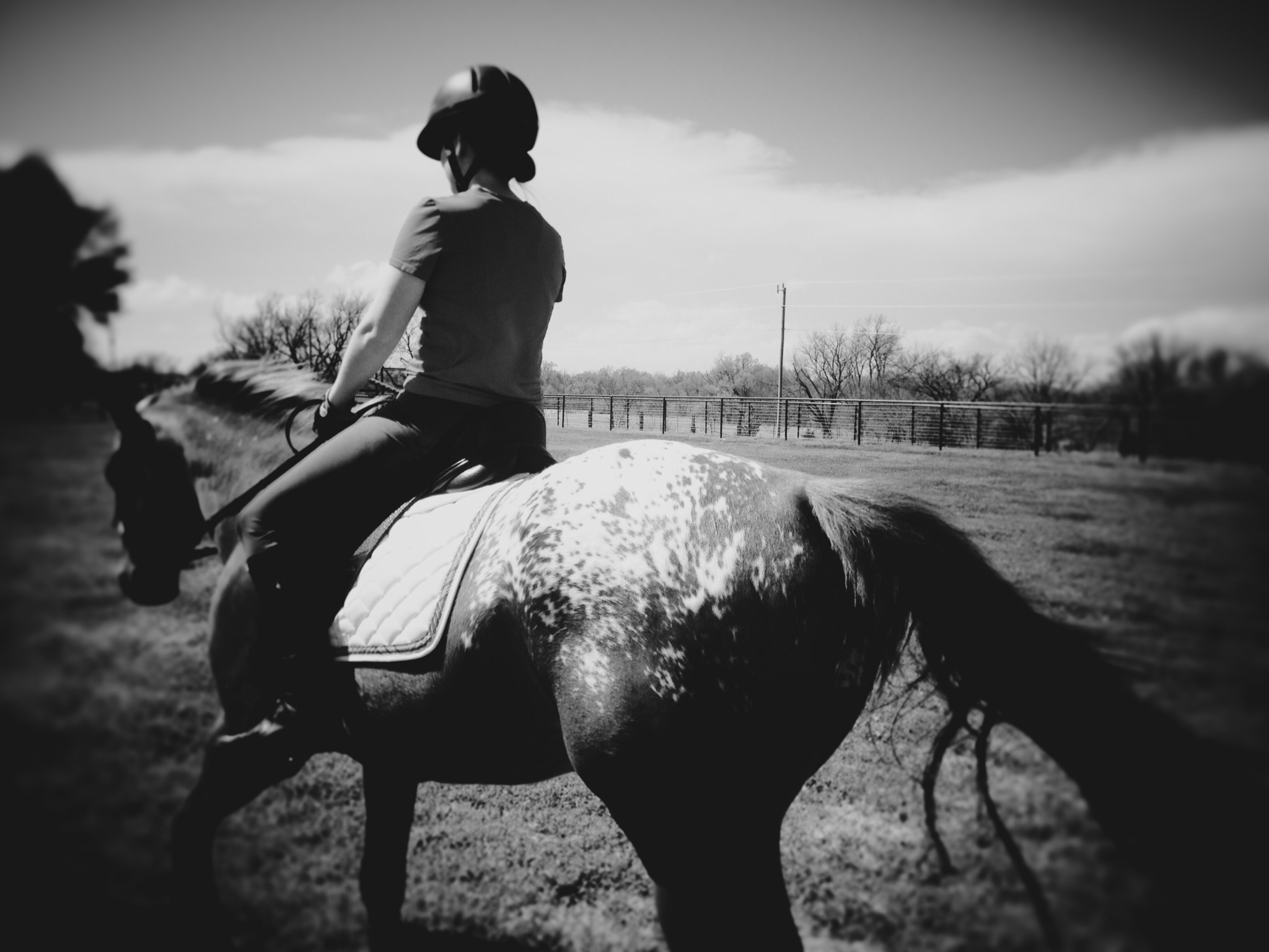 no-stirrups-november