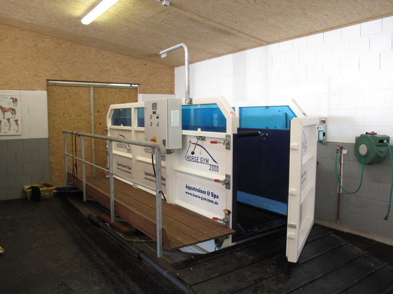 horse gym 2000 aquatrainer horse gym 2000 aquatrainer